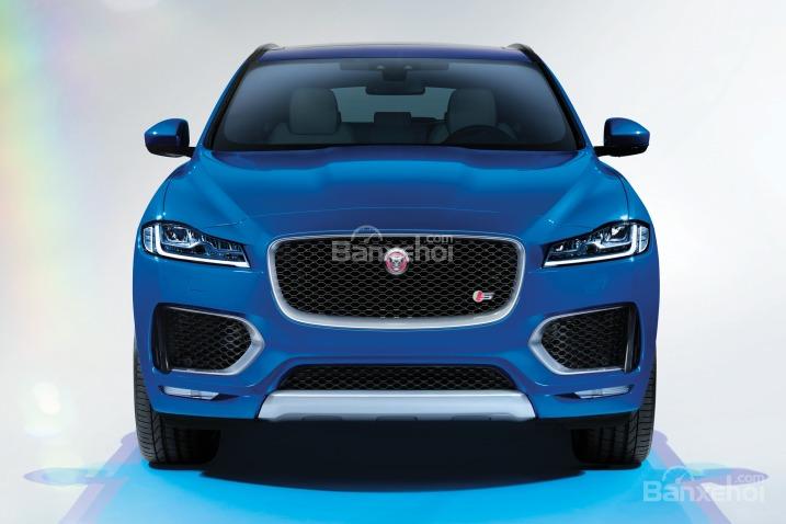 Đánh giá xe Jaguar F-PACE 2017: Đầu xe có thiết kế sang trọng.