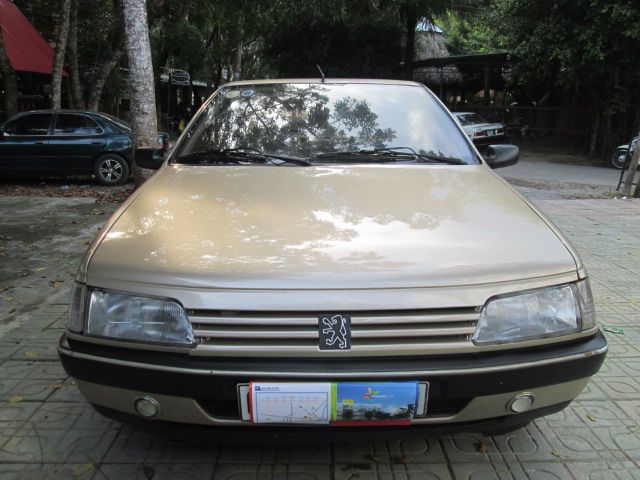 Mua bán Peugeot 405 2000 giá 105 triệu - 1149414