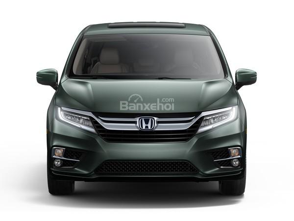 Đánh giá xe Honda Odyssey 2018: Đầu xe có thiết kế khá mượt.