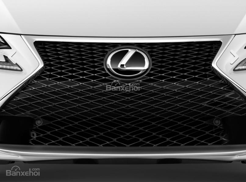 Đánh giá xe Lexus RC 2017: Lưới tản nhiệt đặc trưng.