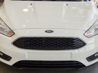 Đánh giá xe Ford Focus 2017: Lưới tản nhiệt.