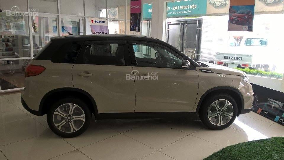 Suzuki Đại Lợi (11)