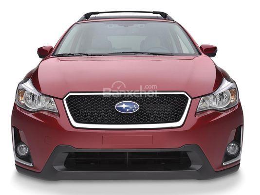 Subaru cân nhắc gia nhập thị trường xe điện.