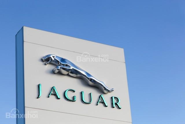 Tháng 5, doanh số toàn cầu của Jaguar Land Rover tăng nhờ mẫu XF và F-Pace.