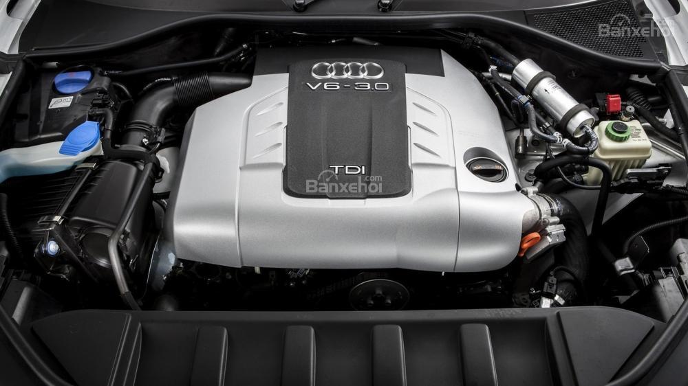 Những chiếc xe diesel của Audi sẽ không quay trở lại Hoa Kỳ.