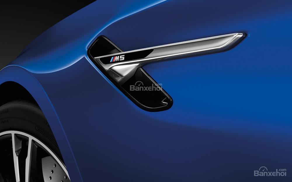 Đánh giá xe BMW M5 2018: Một chi tiết trên thân xe.