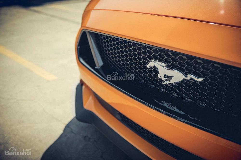 Lưới tản nhiệt xe Ford Mustang 2018 