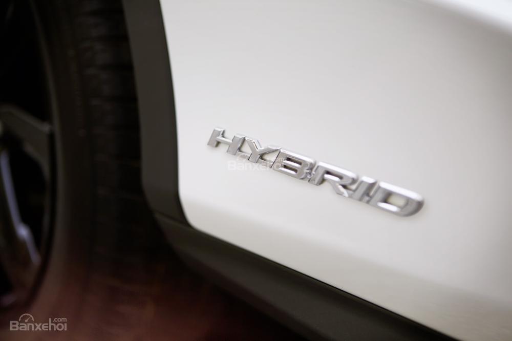 Lexus RX 450h Sport Edition 2018 chốt giá 1,6 tỷ tại Anh  a4