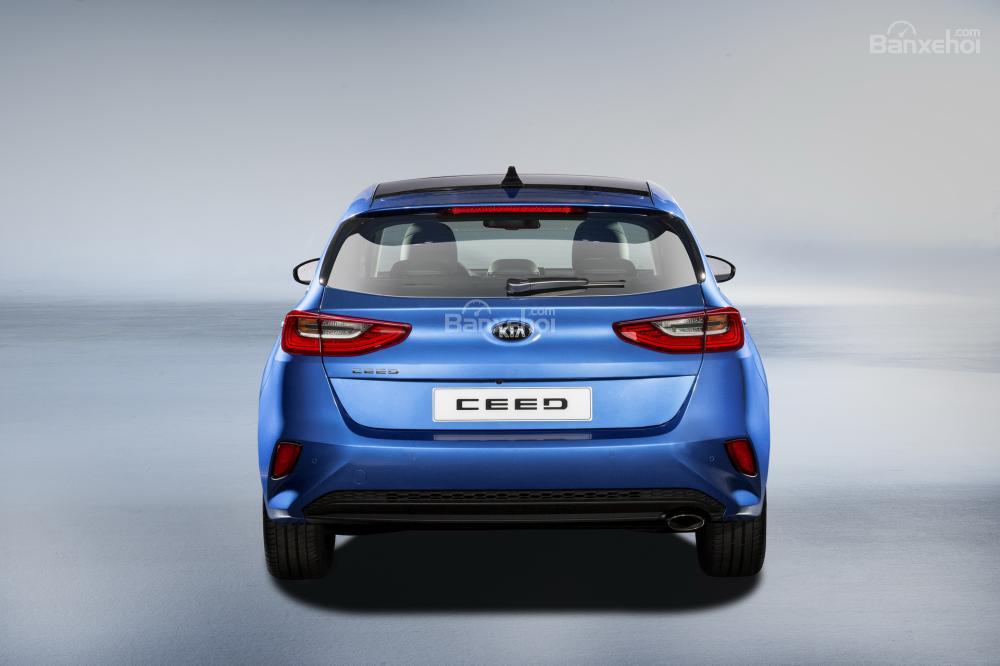 Đánh giá xe Kia Ceed 2019: Đuôi xe.