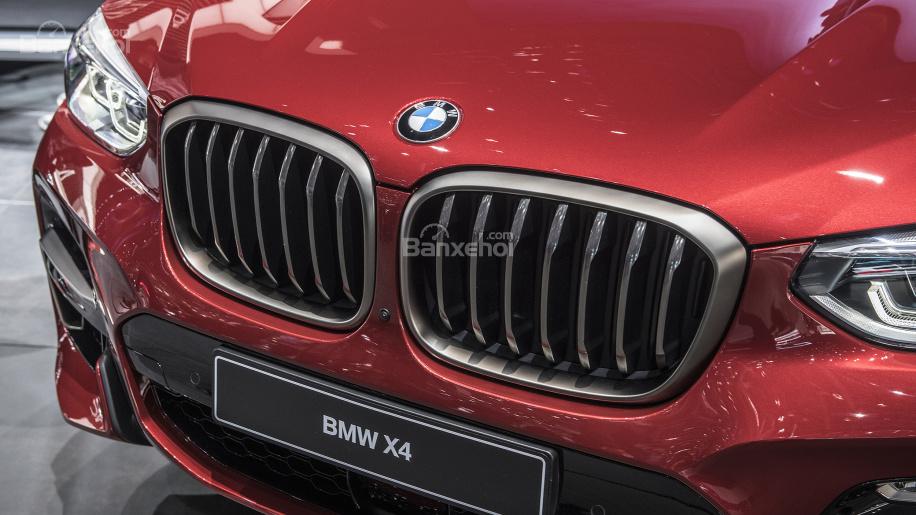 Đánh giá xe BMW X4 2019: Lưới tản nhiệt.