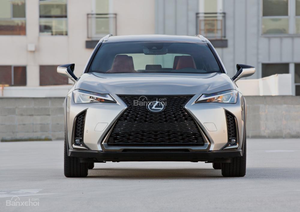 Đầu xe Lexus UX 2019 - 2020