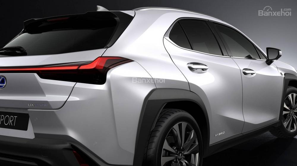 Đánh giá xe Lexus UX 2019 - 2020: Thân xe nhìn từ cạnh bên phía trước.