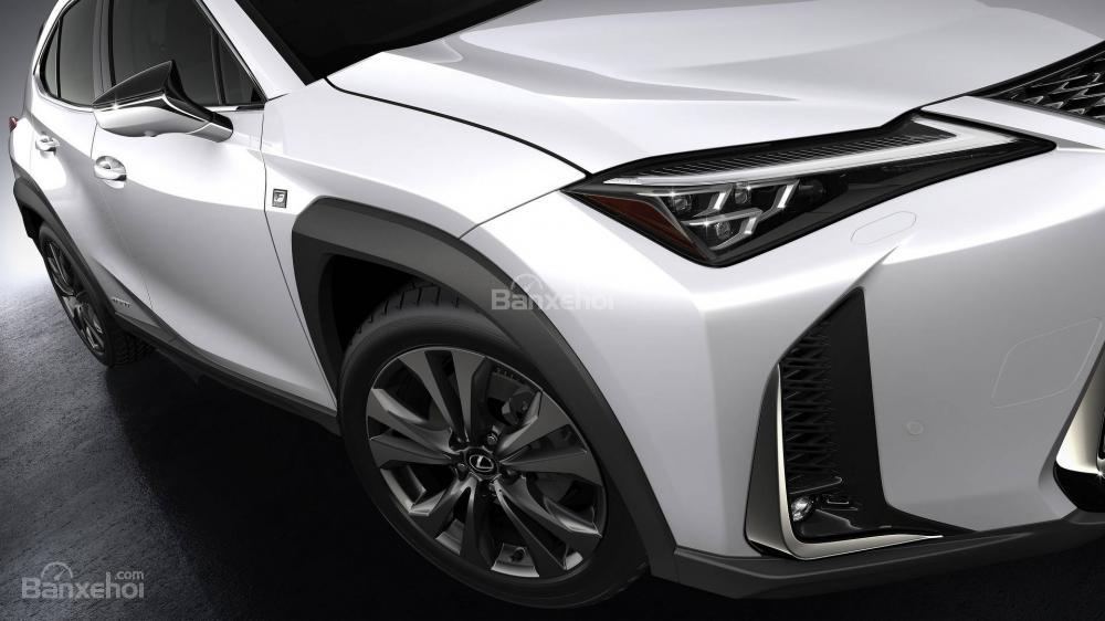 Đánh giá xe Lexus UX 2019 - 2020: Thân xe nhìn từ cạnh bên phía trước.