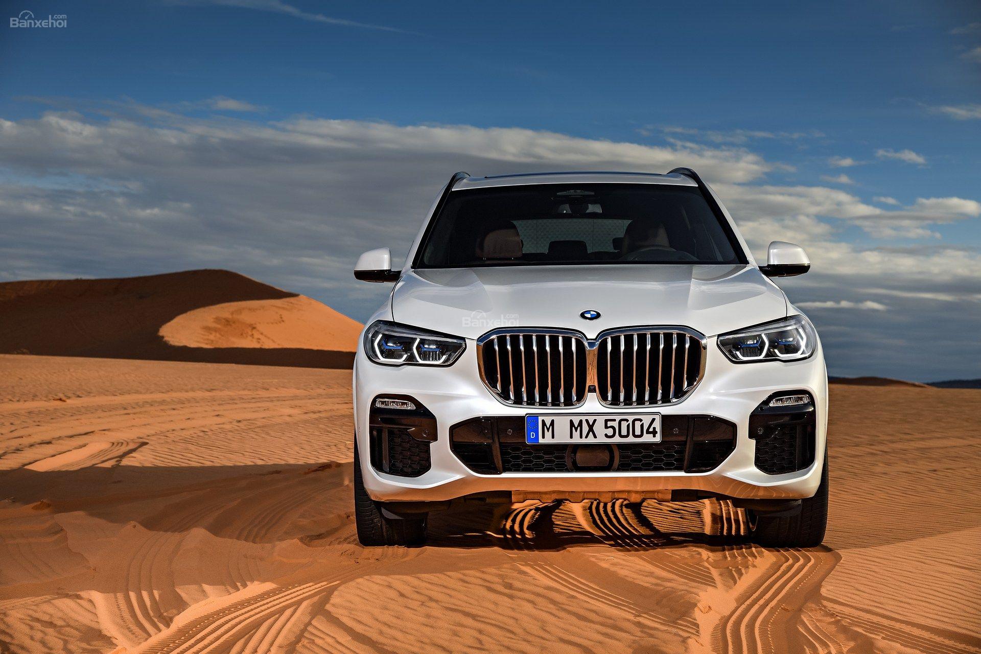 Thiết kế ngoại thất của BMW X5 2019 Đầu xe