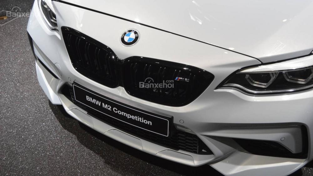 Đánh giá xe BMW M2 Competition 2019: Lưới tản nhiệt.