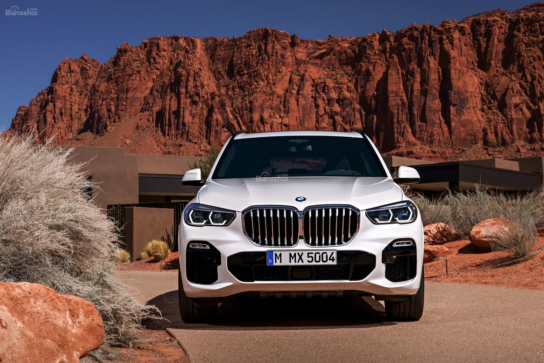 BMW X5 2019 mới ra mắt