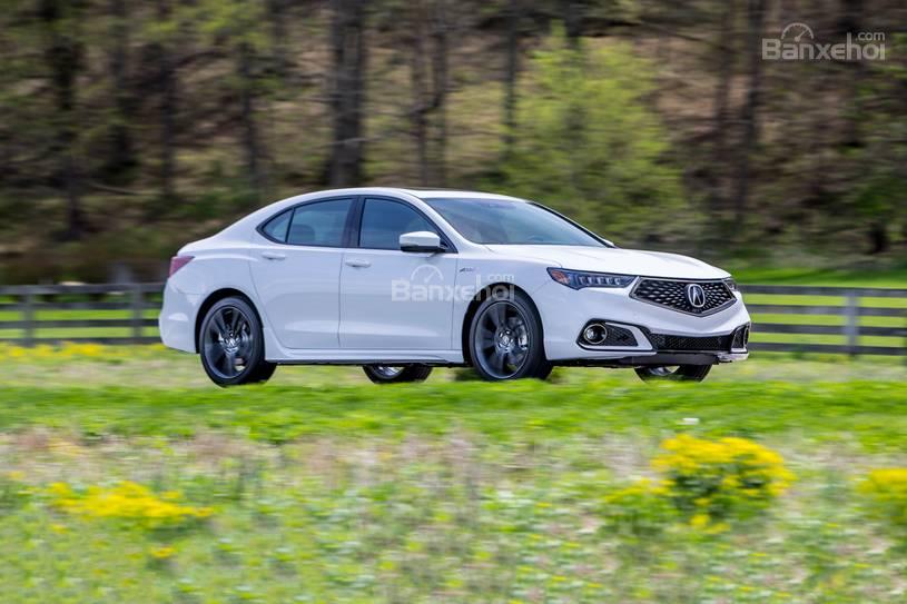 Đánh giá xe Acura TLX 2018 về Việt Nam