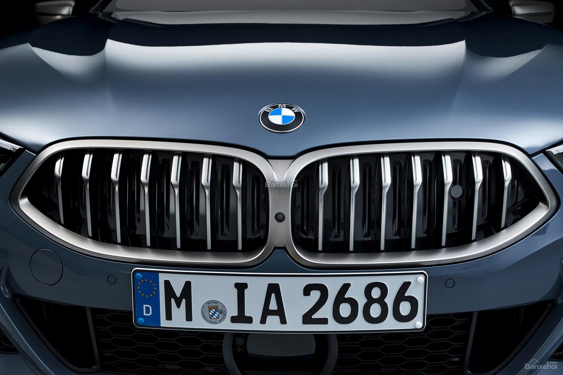 Đánh giá xe BMW 8-Series 2019: Lưới tản nhiệt đôi thương hiệu z