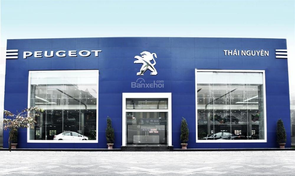 Peugeot Thái Nguyên  (9)