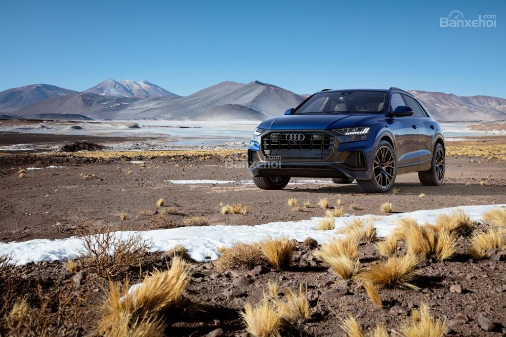 Audi Q8 2019 đến Mỹ với chỉ một tùy chọn động cơ duy nhất - 1