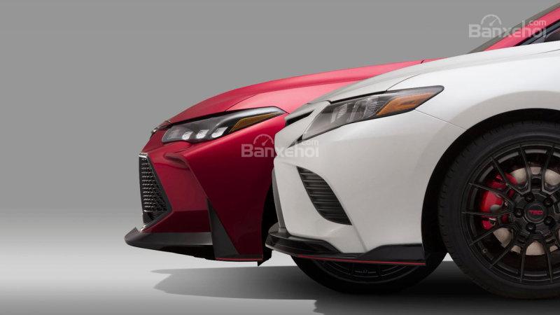 Toyota Camry 2019 và Avalon 2019 sẽ có bản TRD - 1