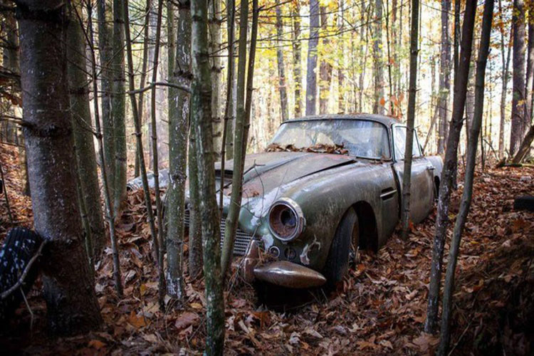Aston Martin DB4 1960 "ngủ" trong rừng suốt 40 năm vẫn được trả giá 475.000 USD a1