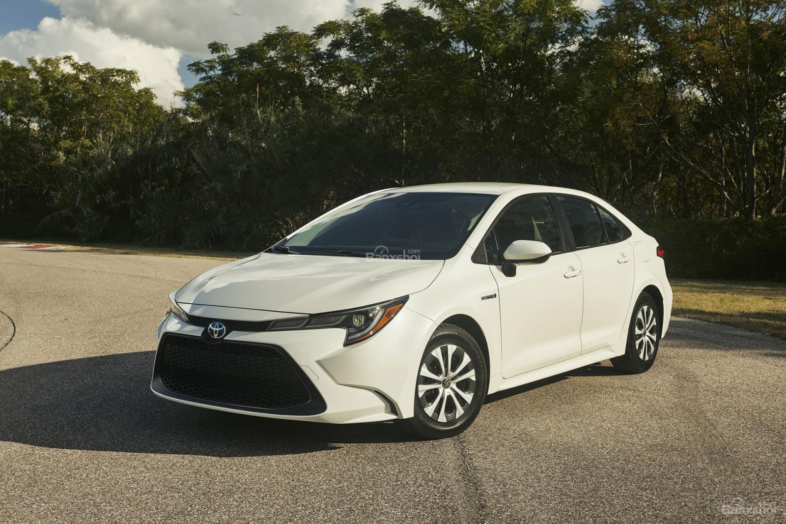 [L.A 2018] Sedan Toyota Corolla 2020 công bố thông số - 1
