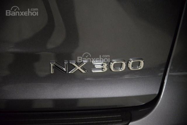Đánh giá xe Lexus NX 300 2019 bản Mỹ - đuôi - 3