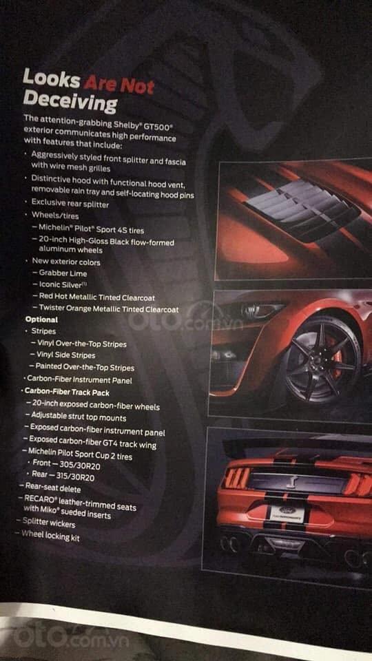 Ảnh brochure Ford Mustang Shelby GT500 2020 - ảnh 3