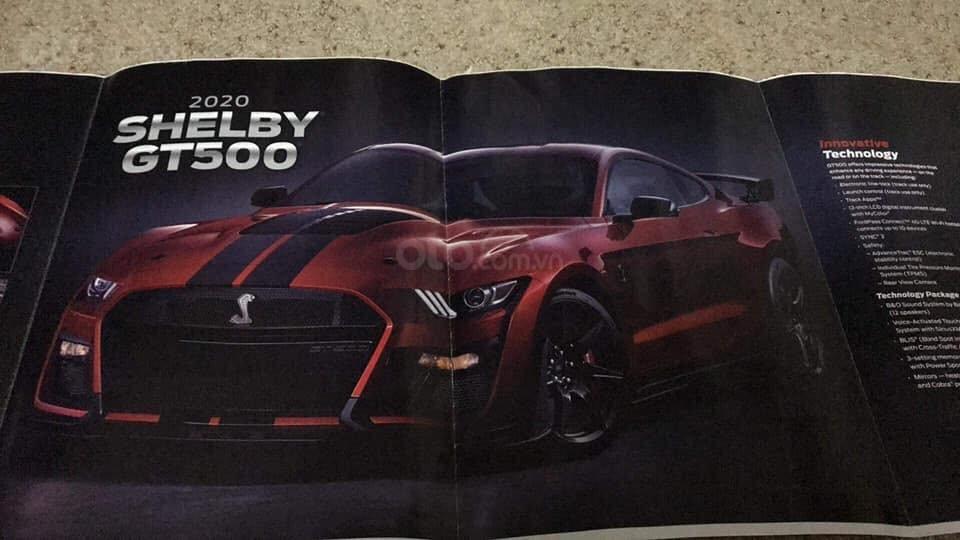 Ảnh brochure Ford Mustang Shelby GT500 2020 - ảnh 1