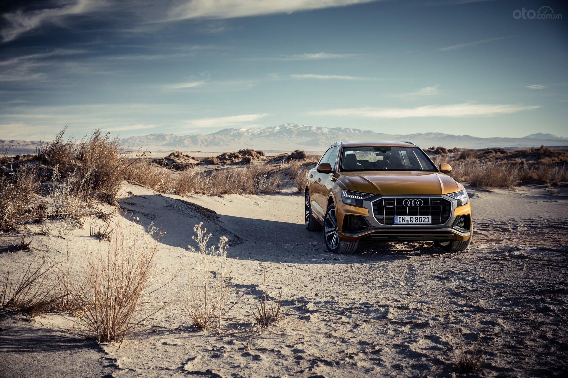 Audi Q8 2019 trên sa mạc màu vàng