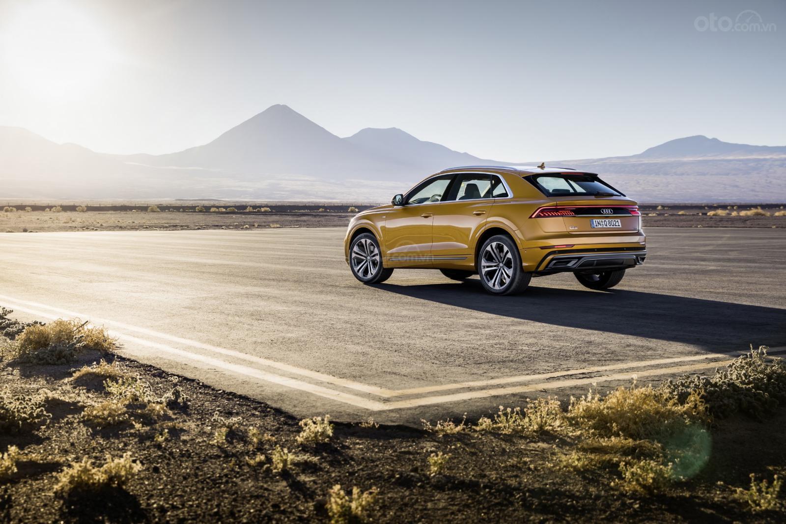 Chiếc Audi Q8 đầu tiên vừa về Việt Nam có gì đặc biệt? 6 Chiếc Audi Q8 đầu tiên vừa về Việt Nam có gì đặc biệt? a6
