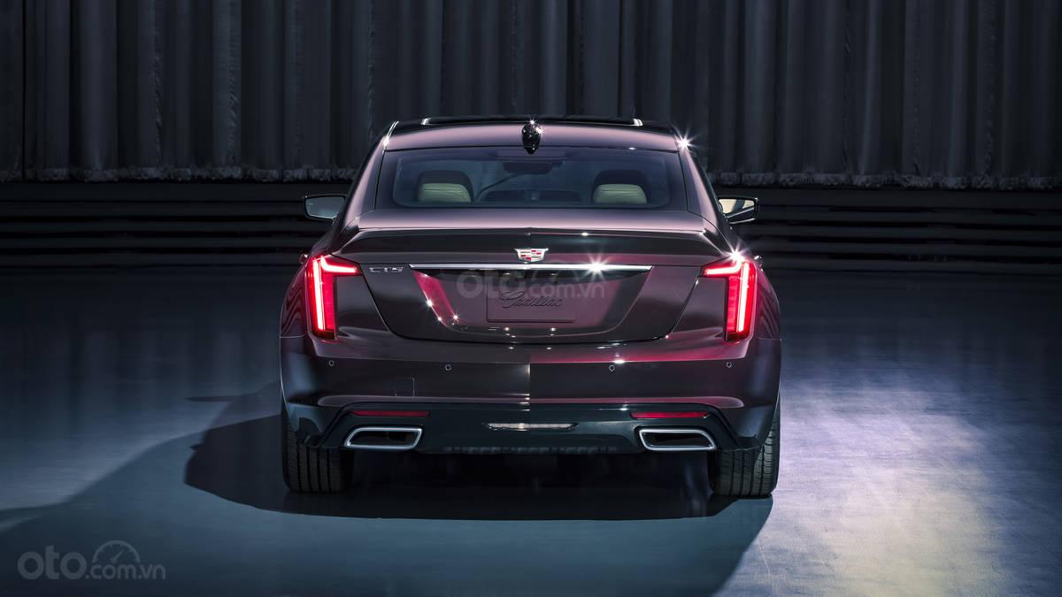 Cadillac CT5 sinh ra để thách thức SUV/Crossover Cadillac CT5 sinh ra để thách thức SUV/Crossover