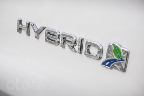 Ford Fiesta và Focus chuyển hybrid Ford Fiesta và Focus chuyển hybrid