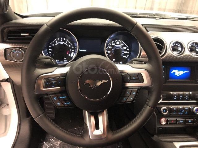 Ưu nhược điểm Ford Mustang 2019: Đồng hồ kỹ thuật số ấn tượng, có bản truyền thống