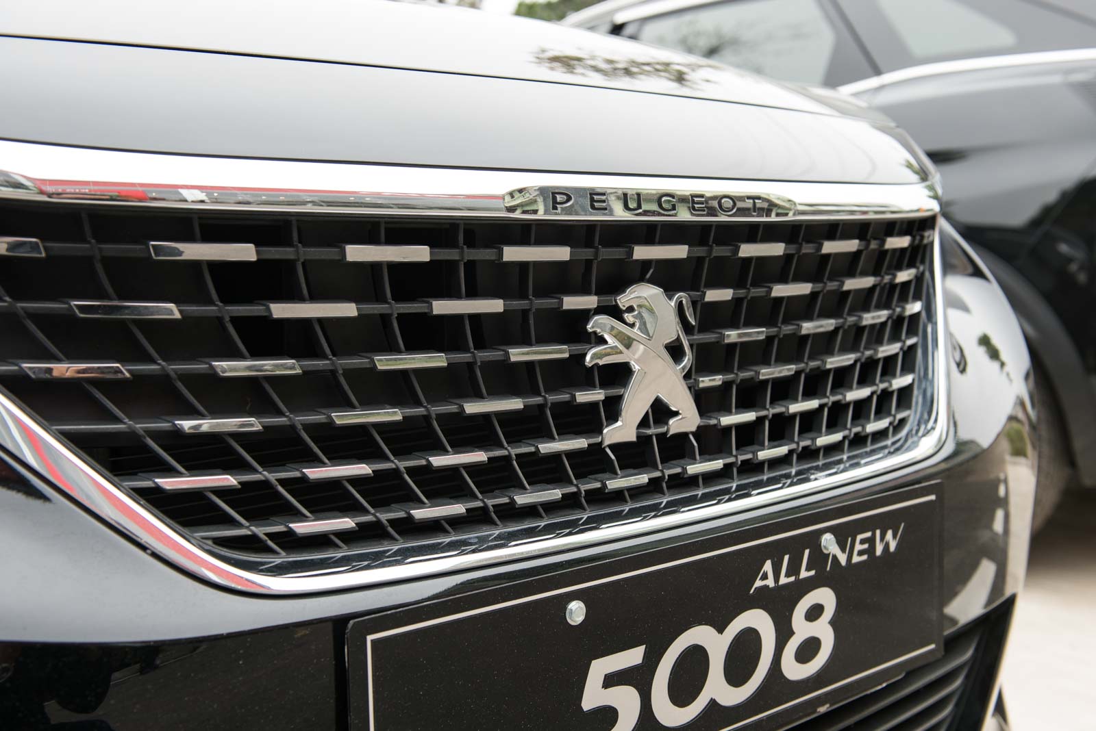 Ảnh chụp lưới tản nhiệt xe Peugeot 5008 2018-2019