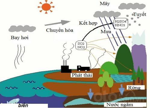 Tác hại của nước mưa đối với ô tô và phương án đối phó: Mưa cũng chứa chất bẩn