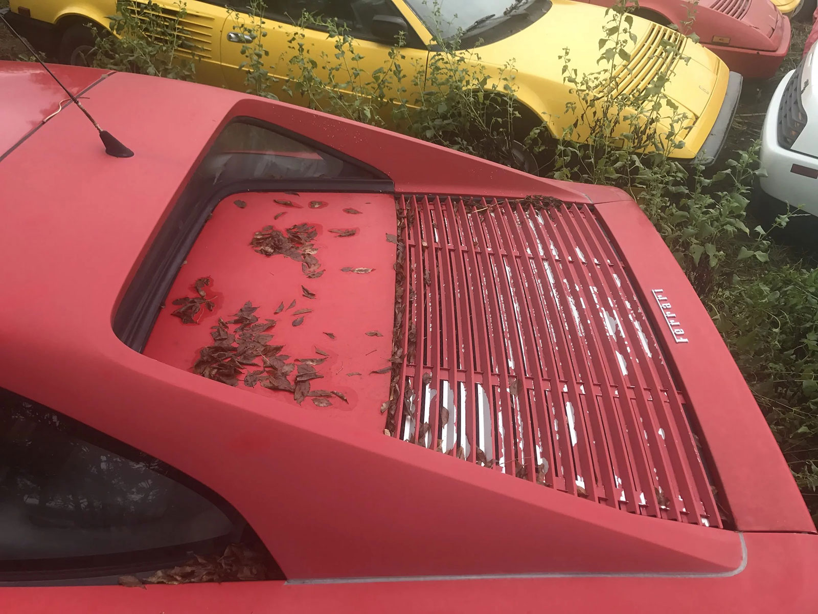 Phát hiện bộ sưu tập siêu xe Ferrari nằm phơi thân suốt 1 thập kỷ tại một bãi cỏ tại Mỹ a7