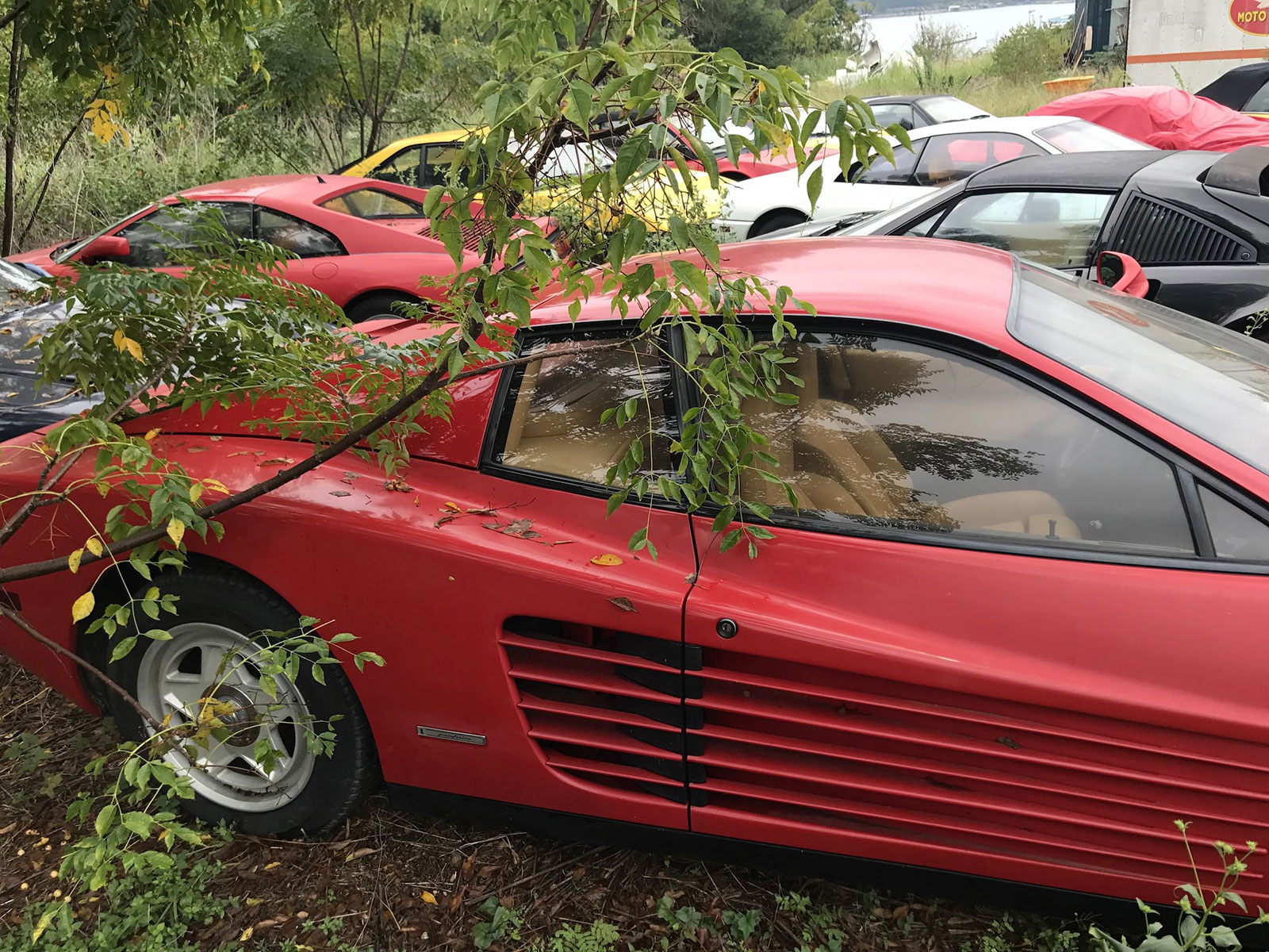 Phát hiện bộ sưu tập siêu xe Ferrari nằm phơi thân suốt 1 thập kỷ tại một bãi cỏ tại Mỹ a9