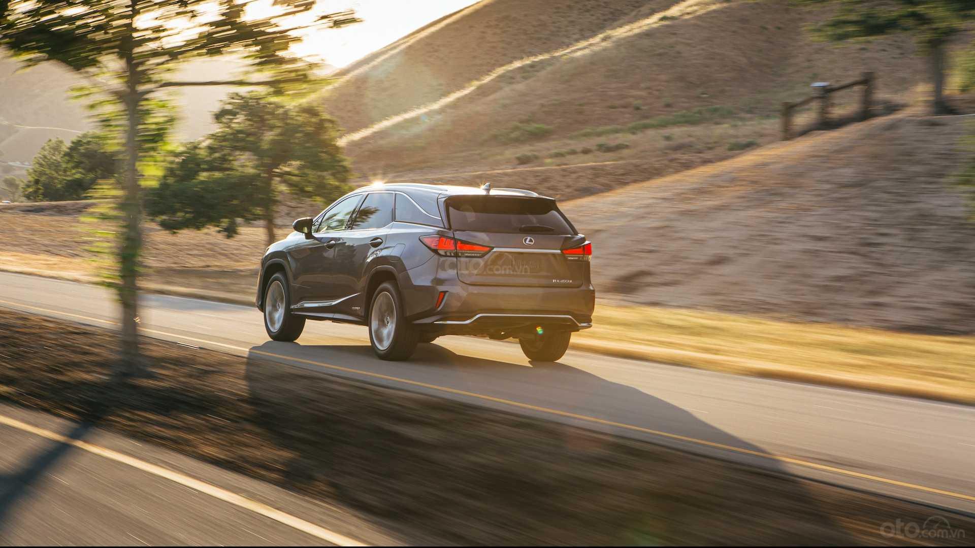 Đuôi xe Lexus RX 2020