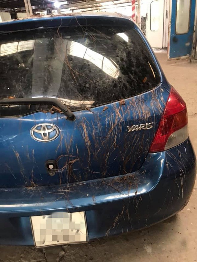 Toyota Yaris mọc đầy rễ cây như trong phim kinh dị 3 Toyota Yaris mọc đầy rễ cây như trong phim kinh dị 3a