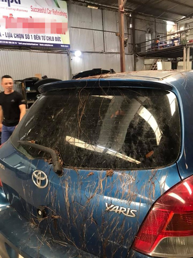 Toyota Yaris mọc đầy rễ cây như trong phim kinh dị 4 Toyota Yaris mọc đầy rễ cây như trong phim kinh dị 4a