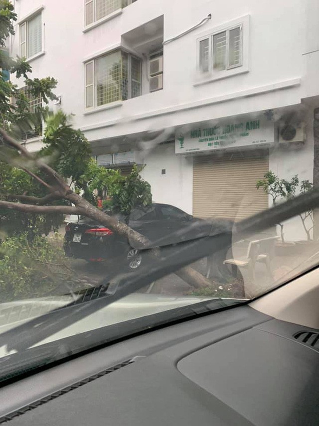 Hàng loạt ô tô bị cây đè bẹp do bão số 3 a2