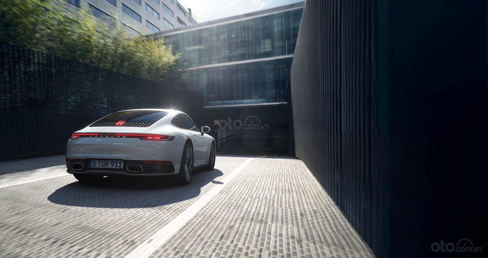 Chiêm ngưỡng Porsche 911 Carrera và 911 Carrera 4 Cabriolet 2020.