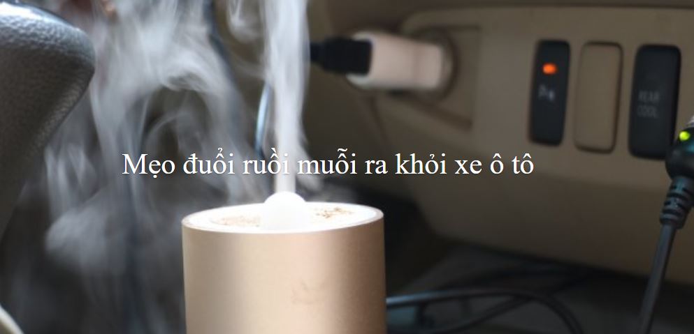 Mẹo đuổi ruồi muỗi ra khỏi xe ô tô hiệu quả và tiết kiệm nhất 1a
