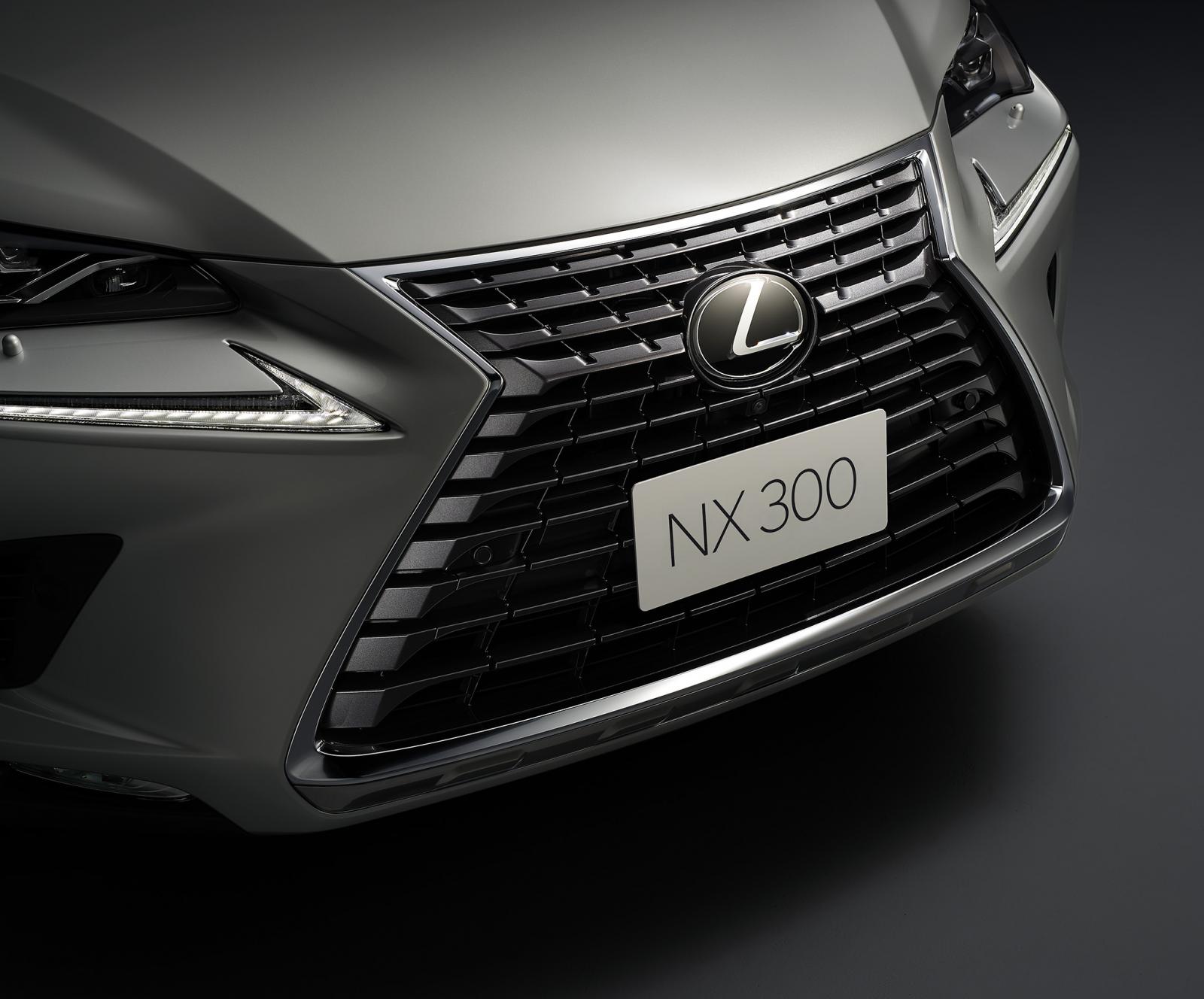 Thông số kỹ thuật xe Lexus NX 300 2020 a1