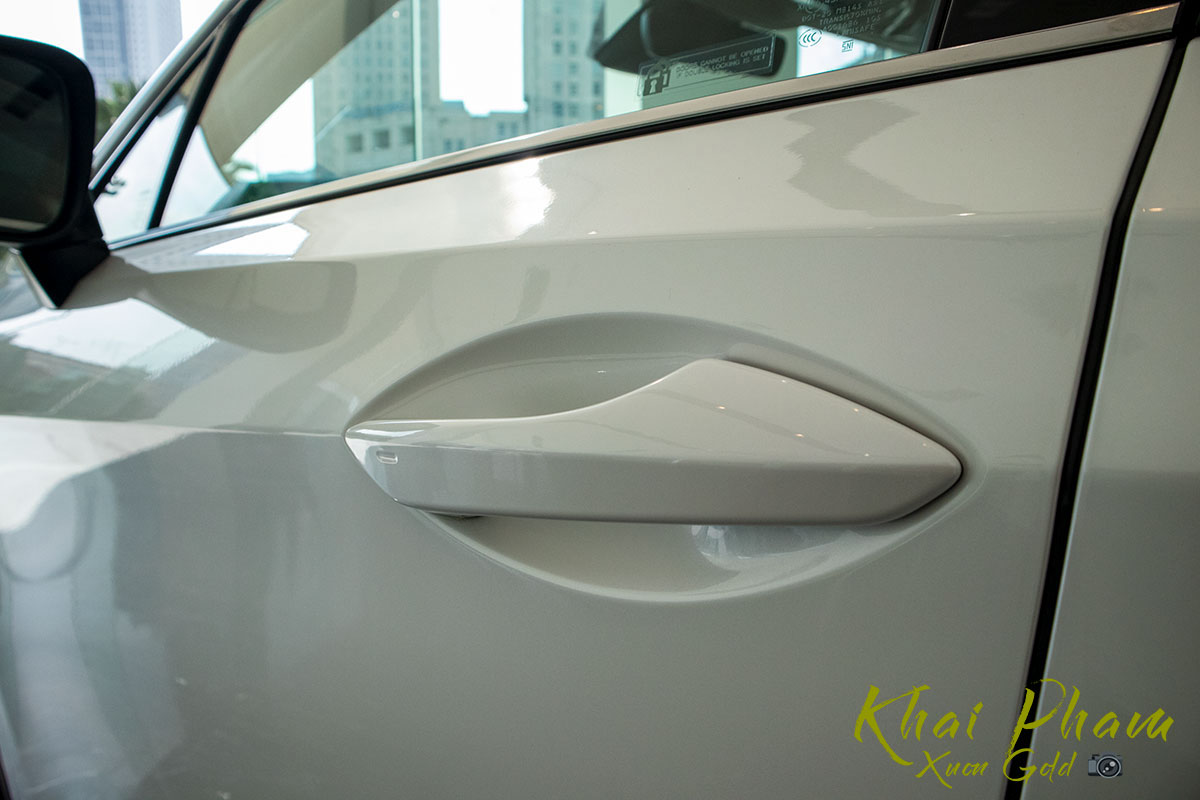 Ảnh chụp tay nắm cửa xe Lexus RX 350L 2020 2