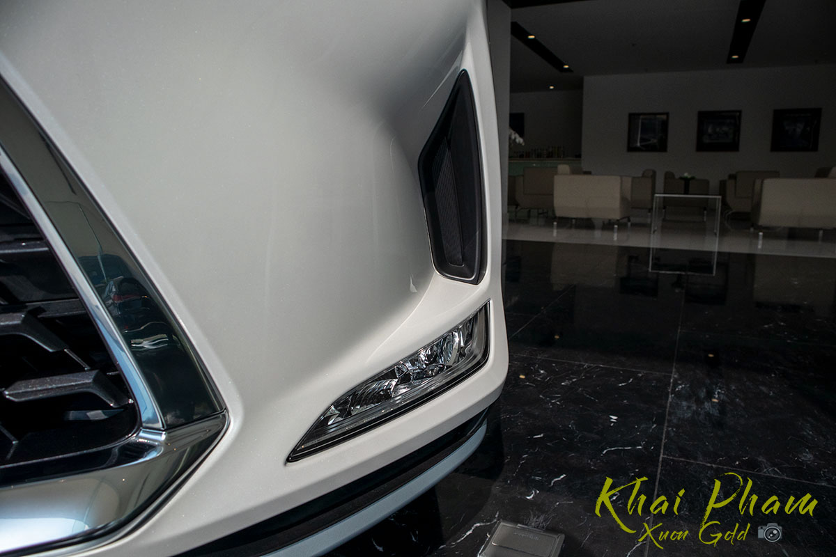 Ảnh chụp đèn sương mù xe Lexus RX 350L 2020 1