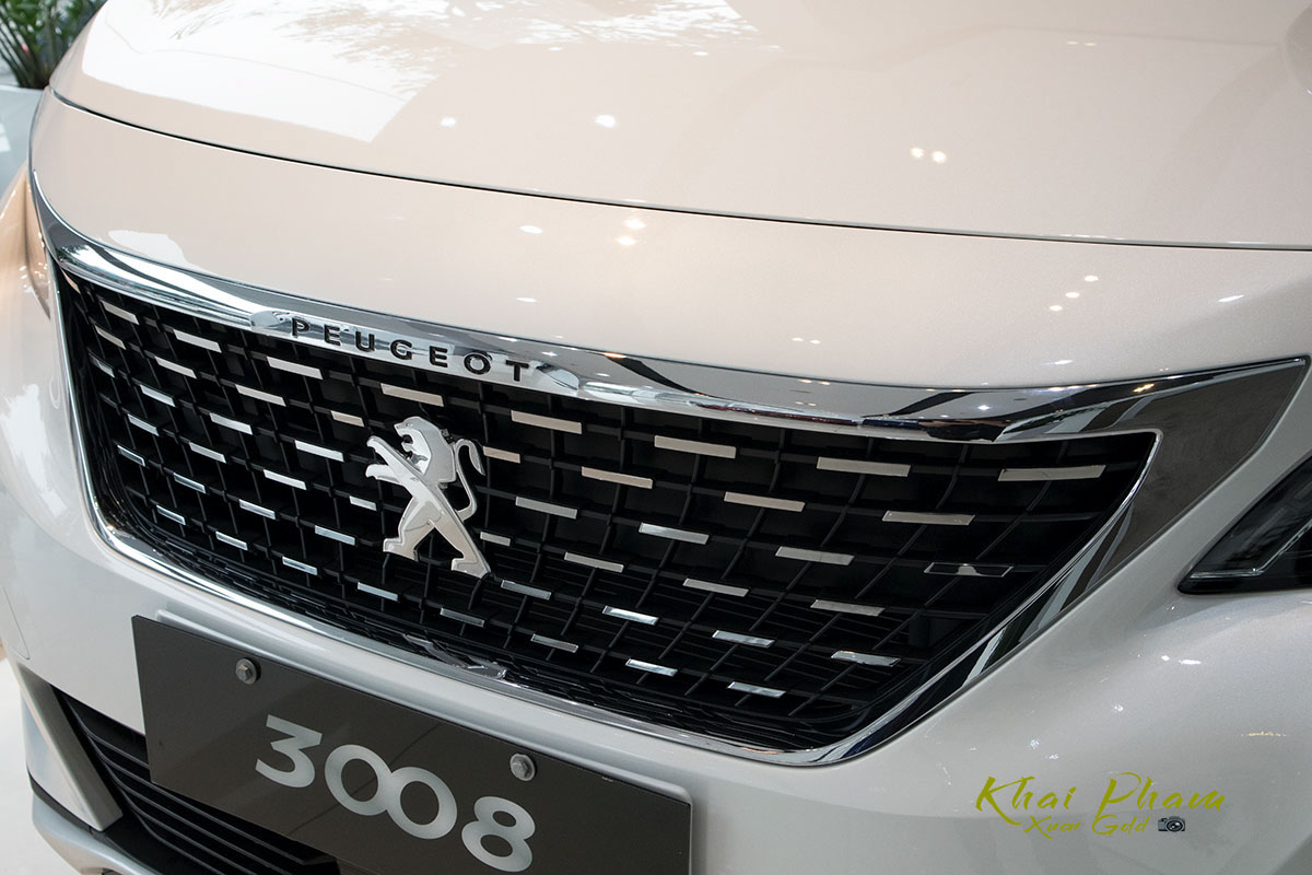 Ảnh chụp lưới tản nhiệt xe Peugeot 3008​​ Active 2020