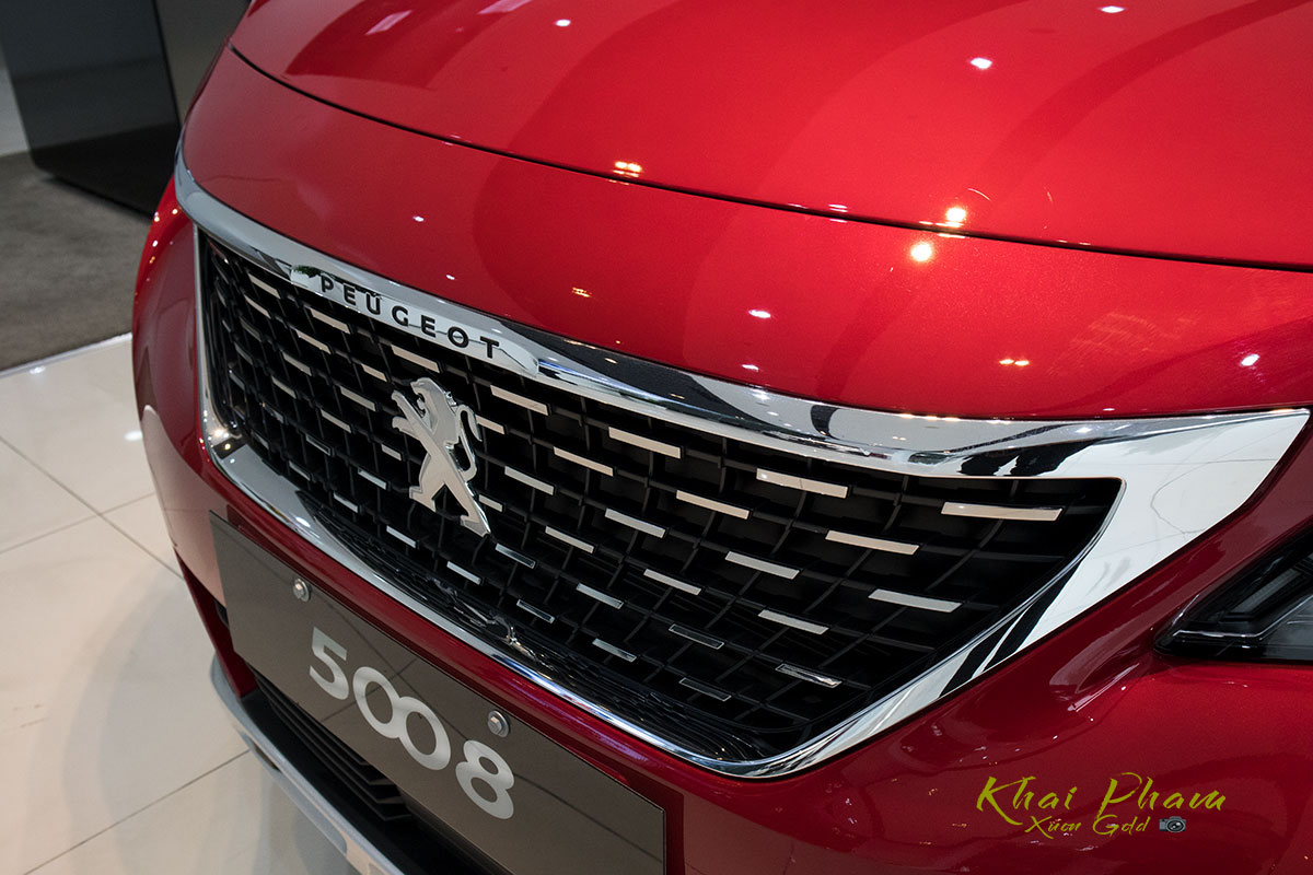 Ảnh chụp Lưới tản nhiệt xe Peugeot 5008 2020